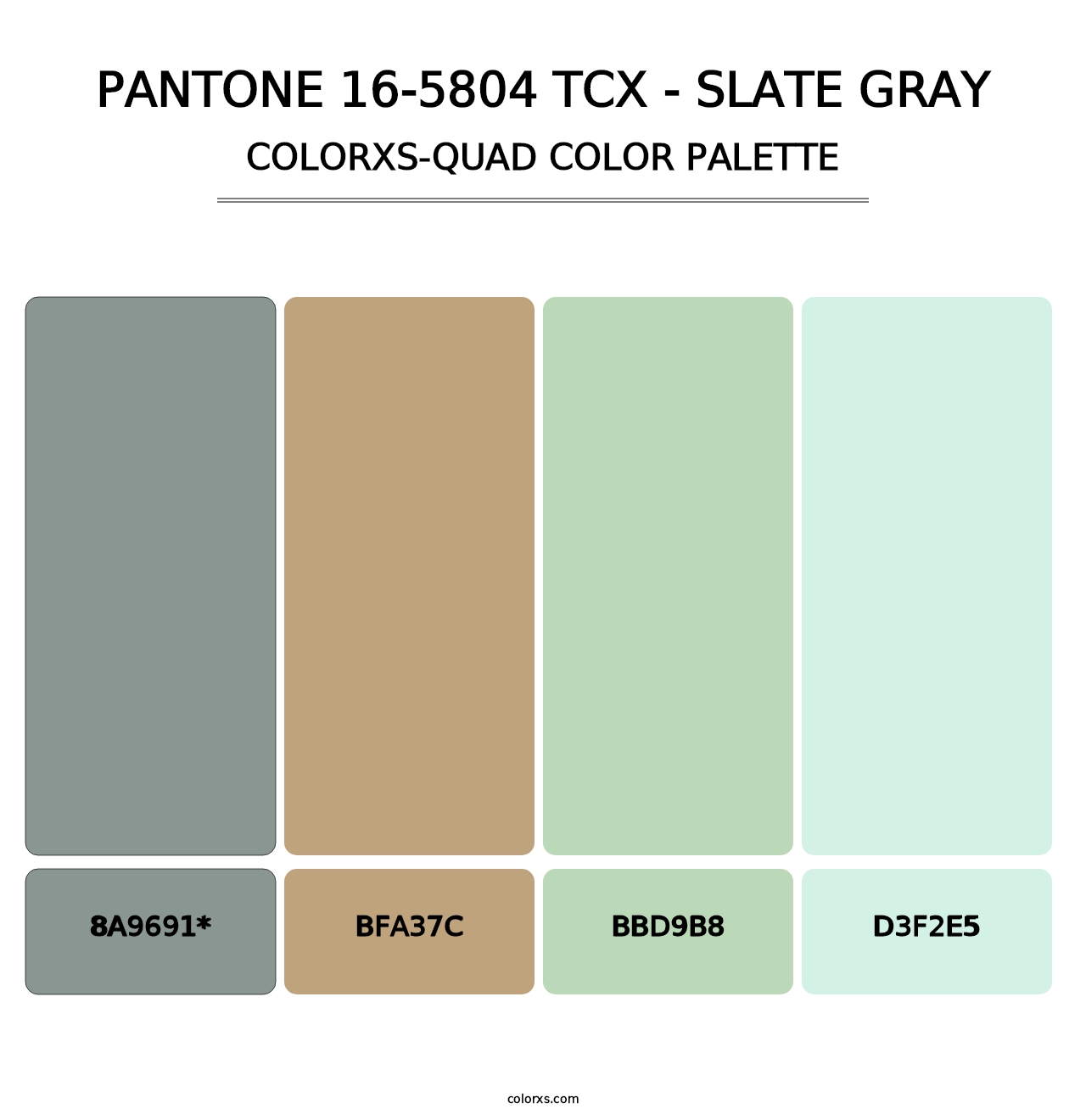 PANTONE 16-5804 TCX - Slate Gray - Colorxs Quad Palette