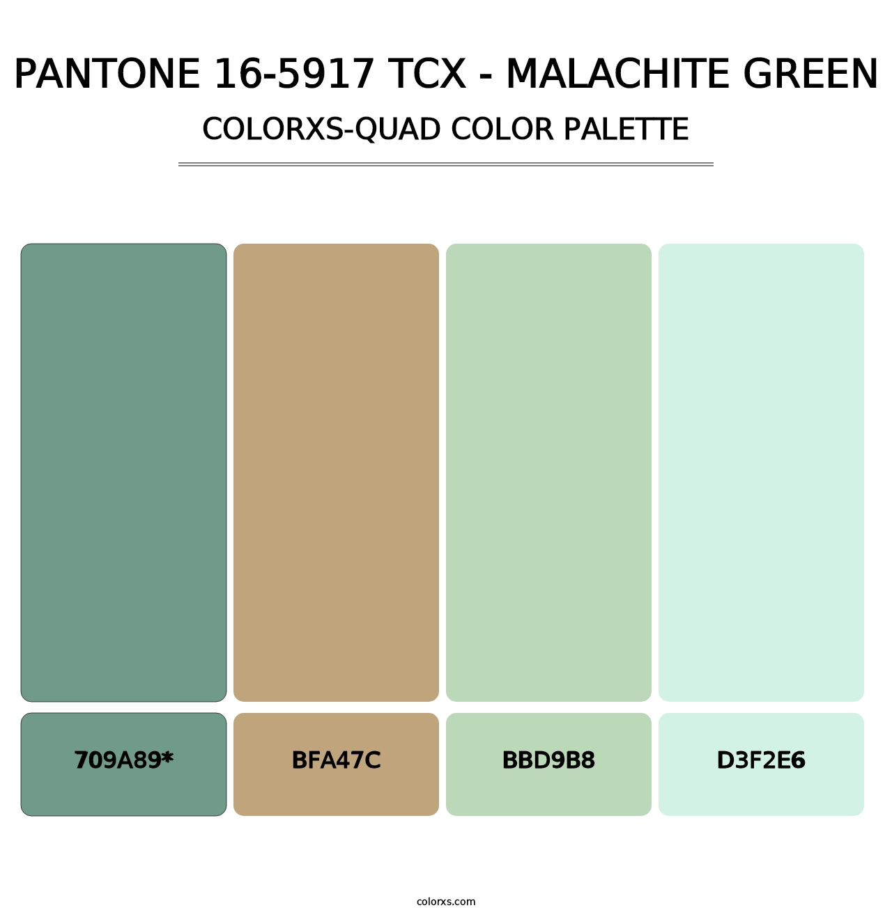 PANTONE 16-5917 TCX - Malachite Green - Colorxs Quad Palette