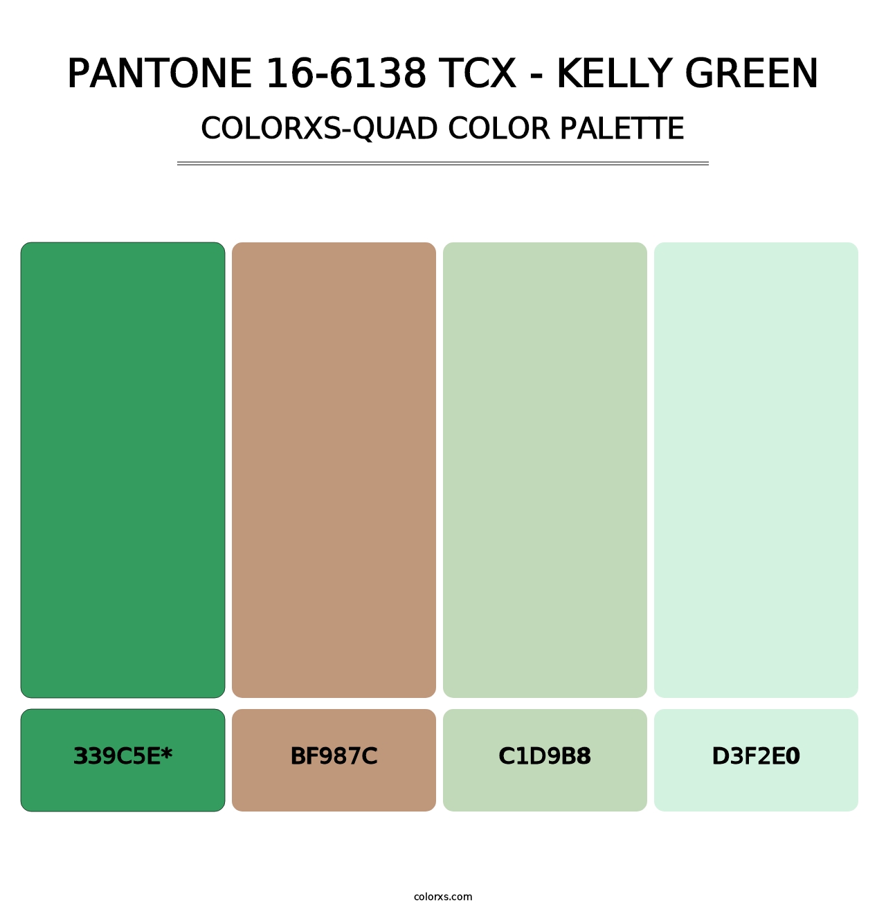 PANTONE 16-6138 TCX - Kelly Green - Colorxs Quad Palette