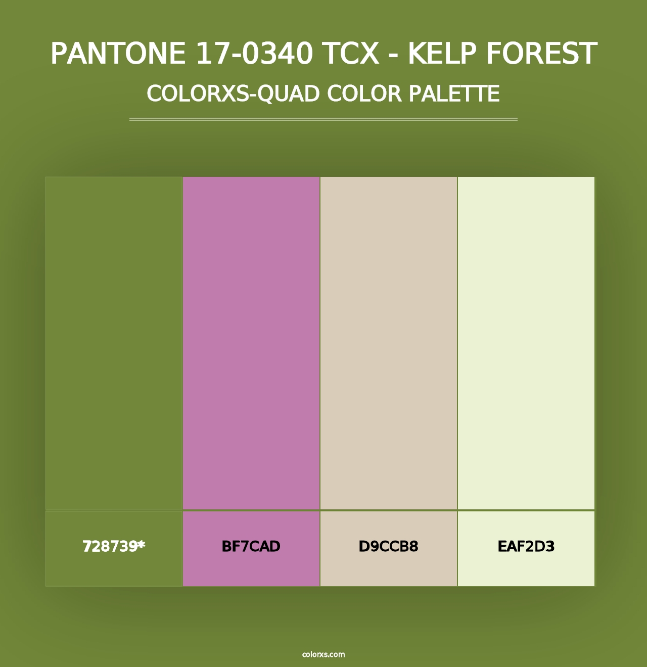 PANTONE 17-0340 TCX - Kelp Forest - Colorxs Quad Palette