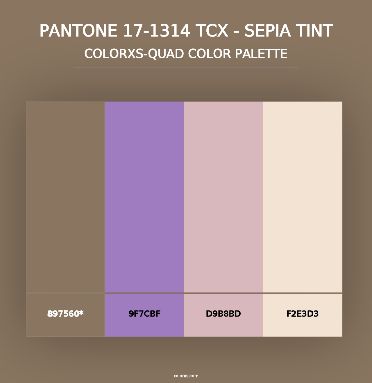 PANTONE 17-1314 TCX - Sepia Tint - Colorxs Quad Palette