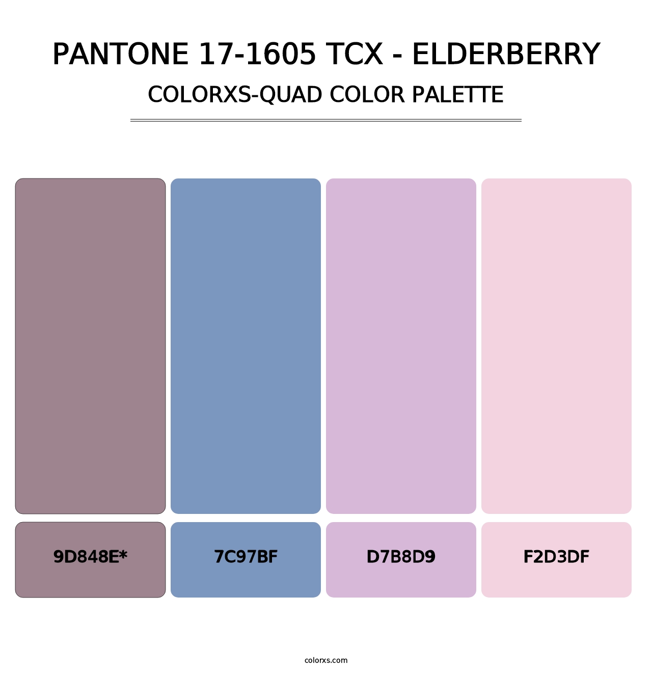 PANTONE 17-1605 TCX - Elderberry - Colorxs Quad Palette