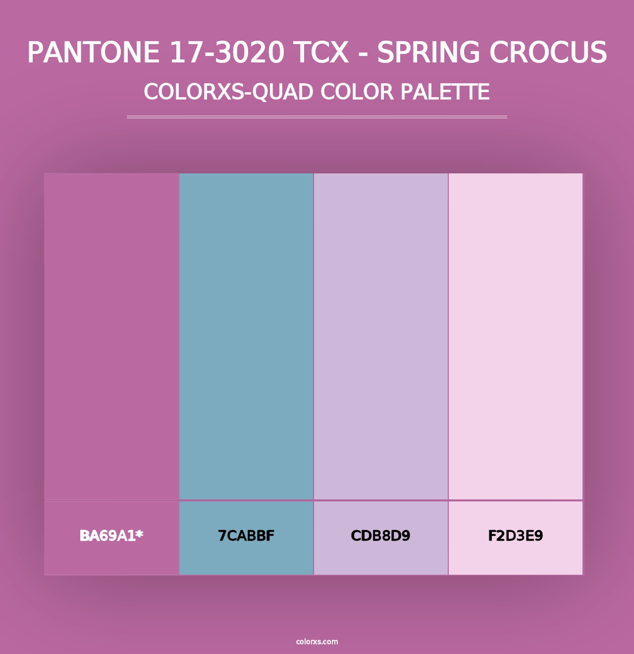 PANTONE 17-3020 TCX - Spring Crocus - Colorxs Quad Palette