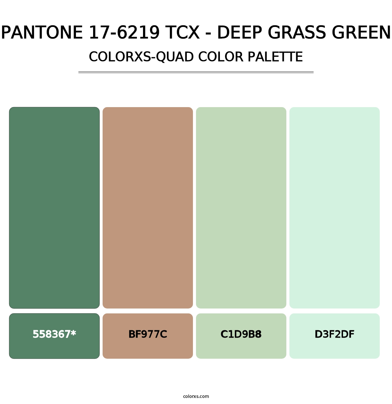 PANTONE 17-6219 TCX - Deep Grass Green - Colorxs Quad Palette