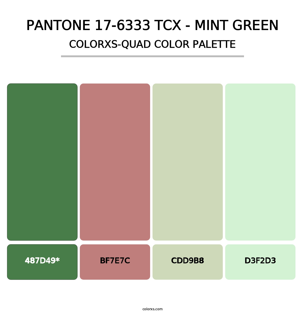 PANTONE 17-6333 TCX - Mint Green - Colorxs Quad Palette