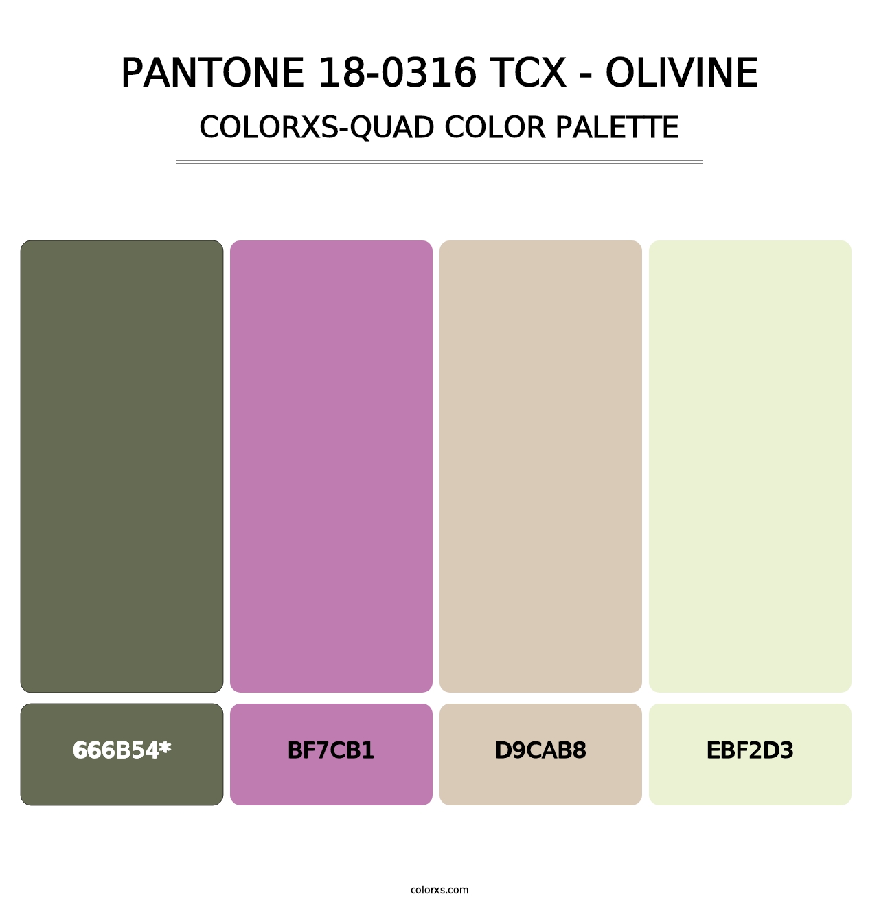 PANTONE 18-0316 TCX - Olivine - Colorxs Quad Palette