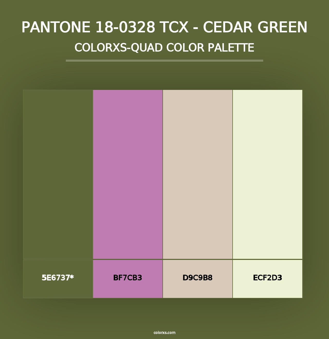 PANTONE 18-0328 TCX - Cedar Green - Colorxs Quad Palette