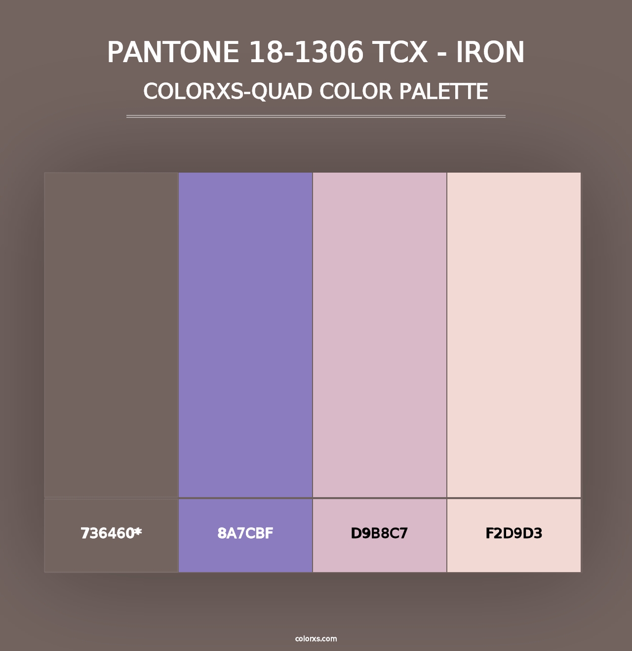 PANTONE 18-1306 TCX - Iron - Colorxs Quad Palette