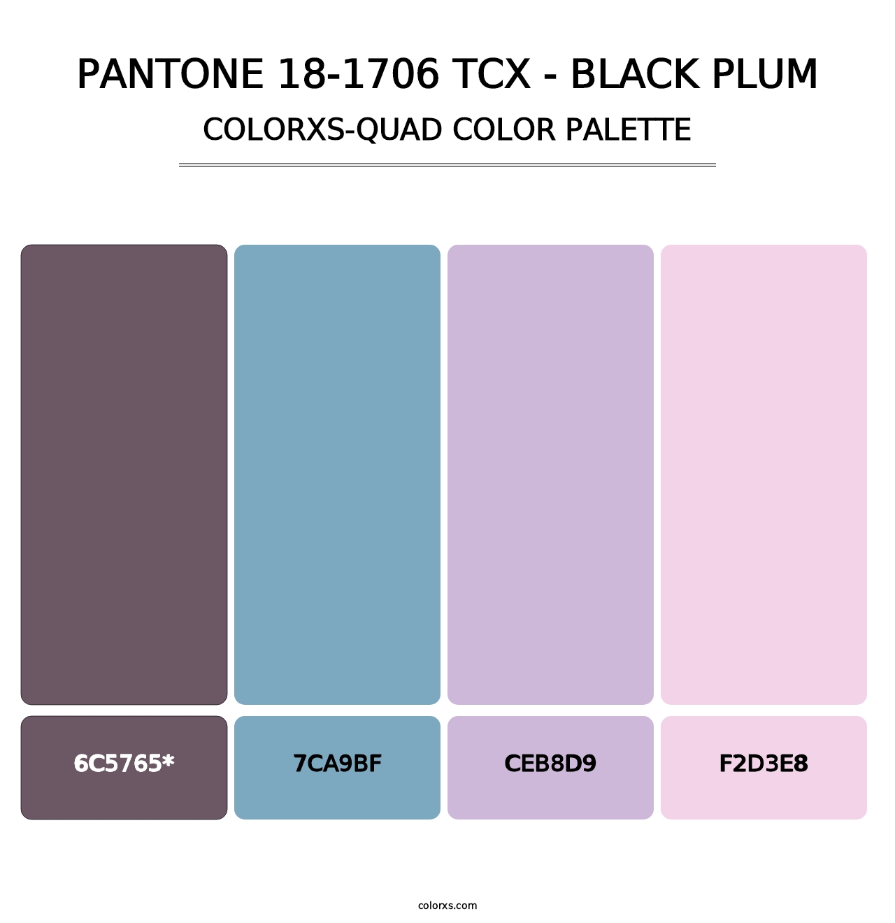 PANTONE 18-1706 TCX - Black Plum - Colorxs Quad Palette