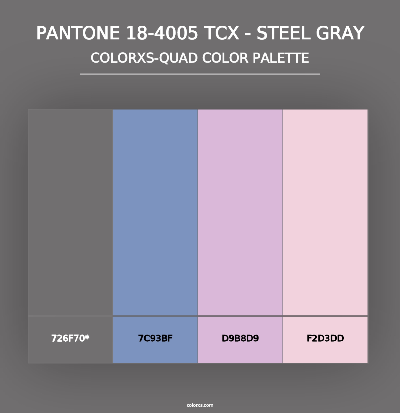 PANTONE 18-4005 TCX - Steel Gray - Colorxs Quad Palette