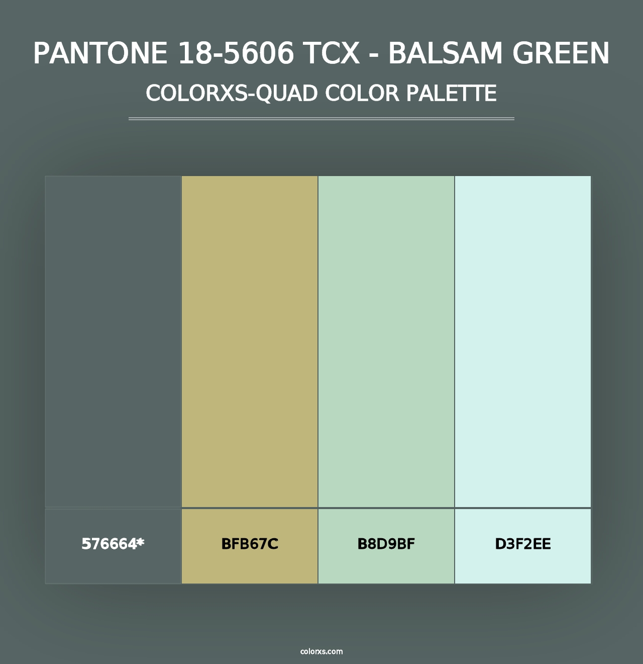 PANTONE 18-5606 TCX - Balsam Green - Colorxs Quad Palette