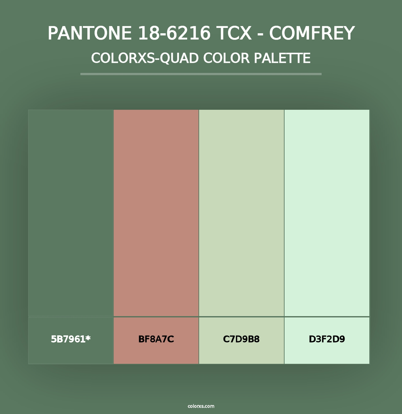 PANTONE 18-6216 TCX - Comfrey - Colorxs Quad Palette