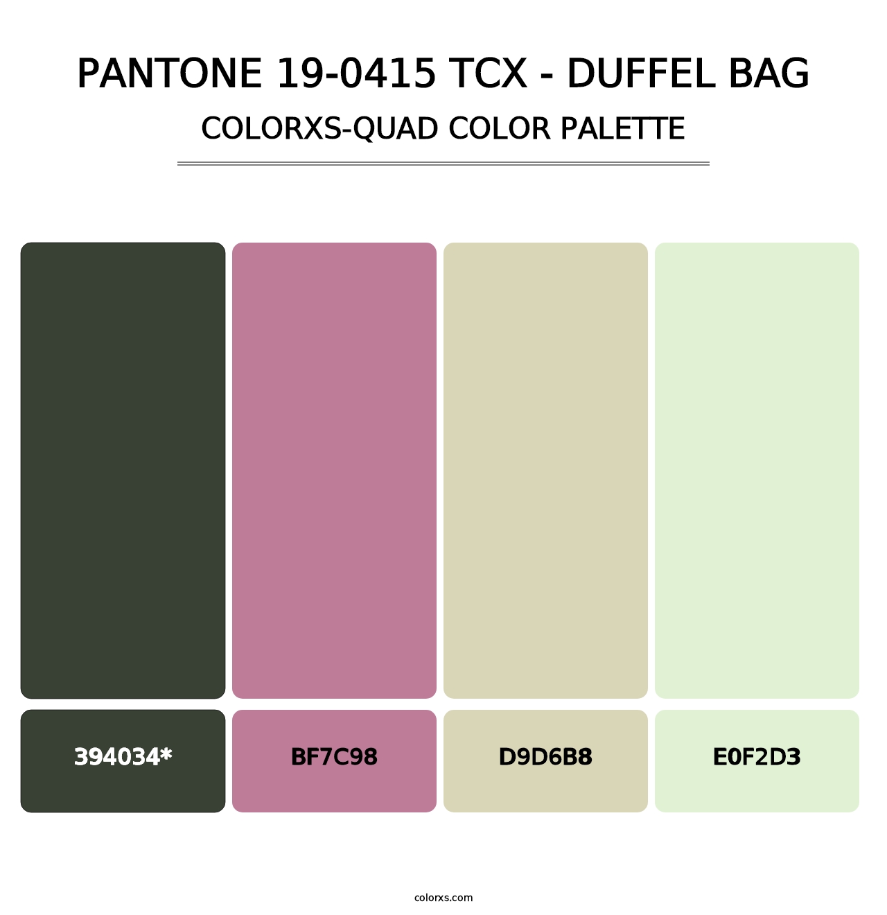 PANTONE 19-0415 TCX - Duffel Bag - Colorxs Quad Palette