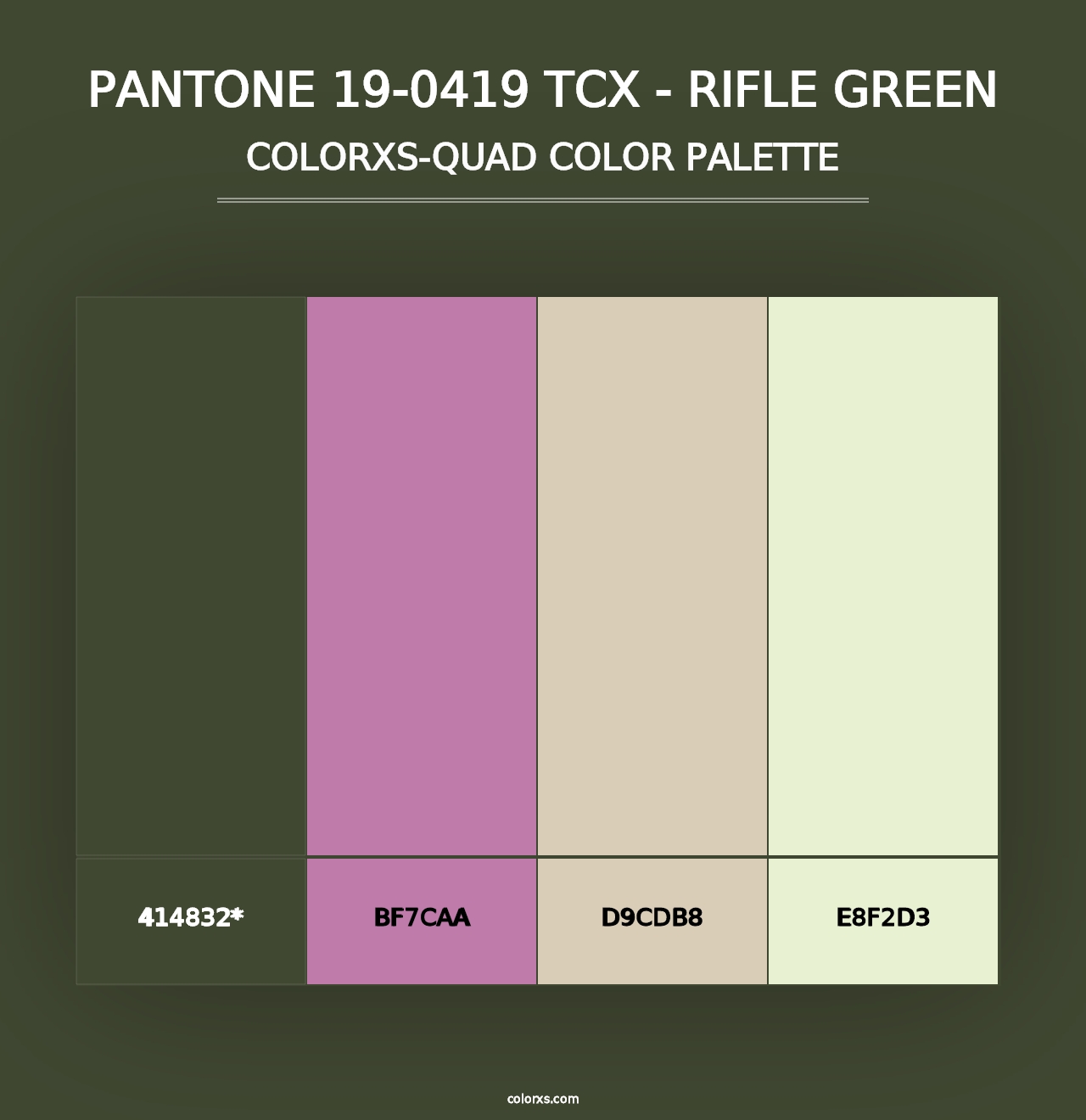 PANTONE 19-0419 TCX - Rifle Green - Colorxs Quad Palette