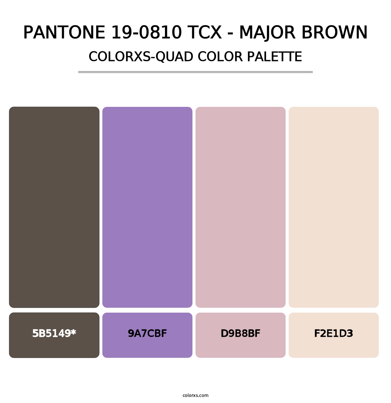 PANTONE 19-0810 TCX - Major Brown - Colorxs Quad Palette