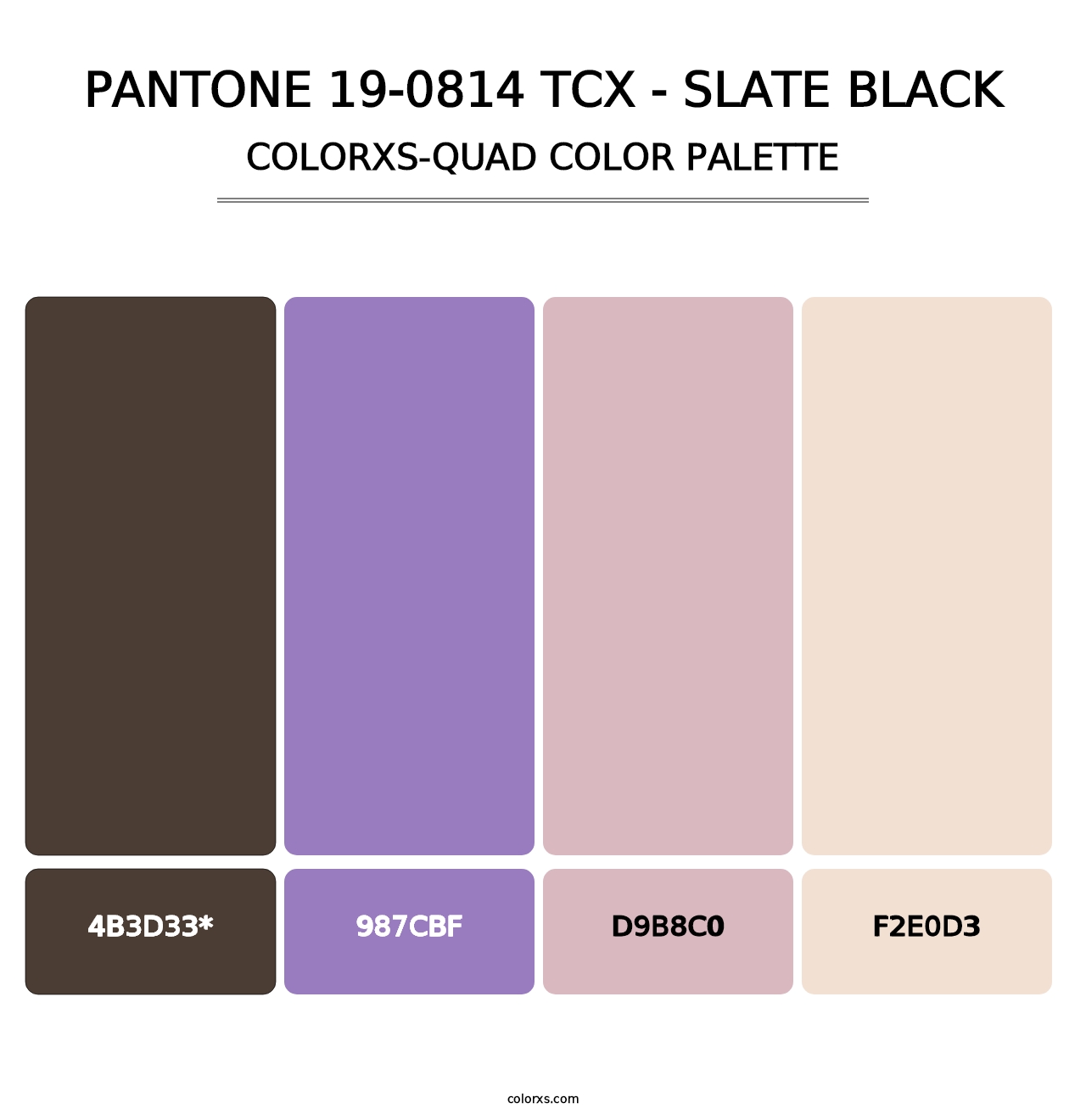 PANTONE 19-0814 TCX - Slate Black - Colorxs Quad Palette