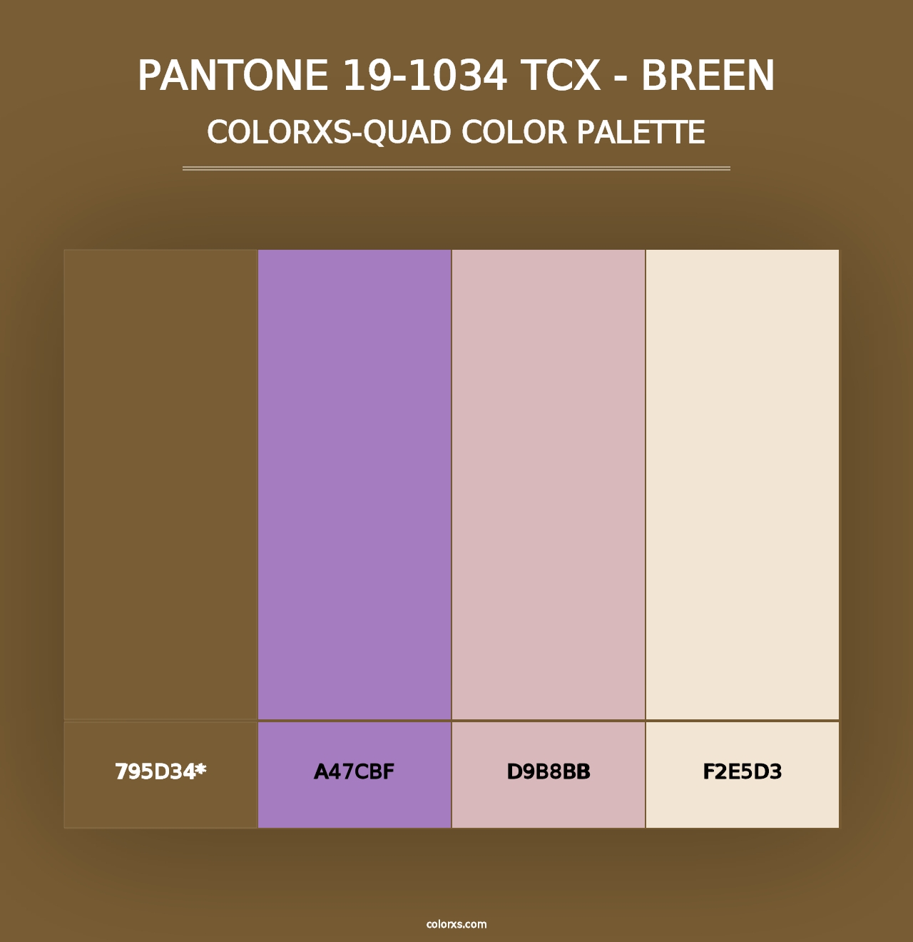 PANTONE 19-1034 TCX - Breen - Colorxs Quad Palette