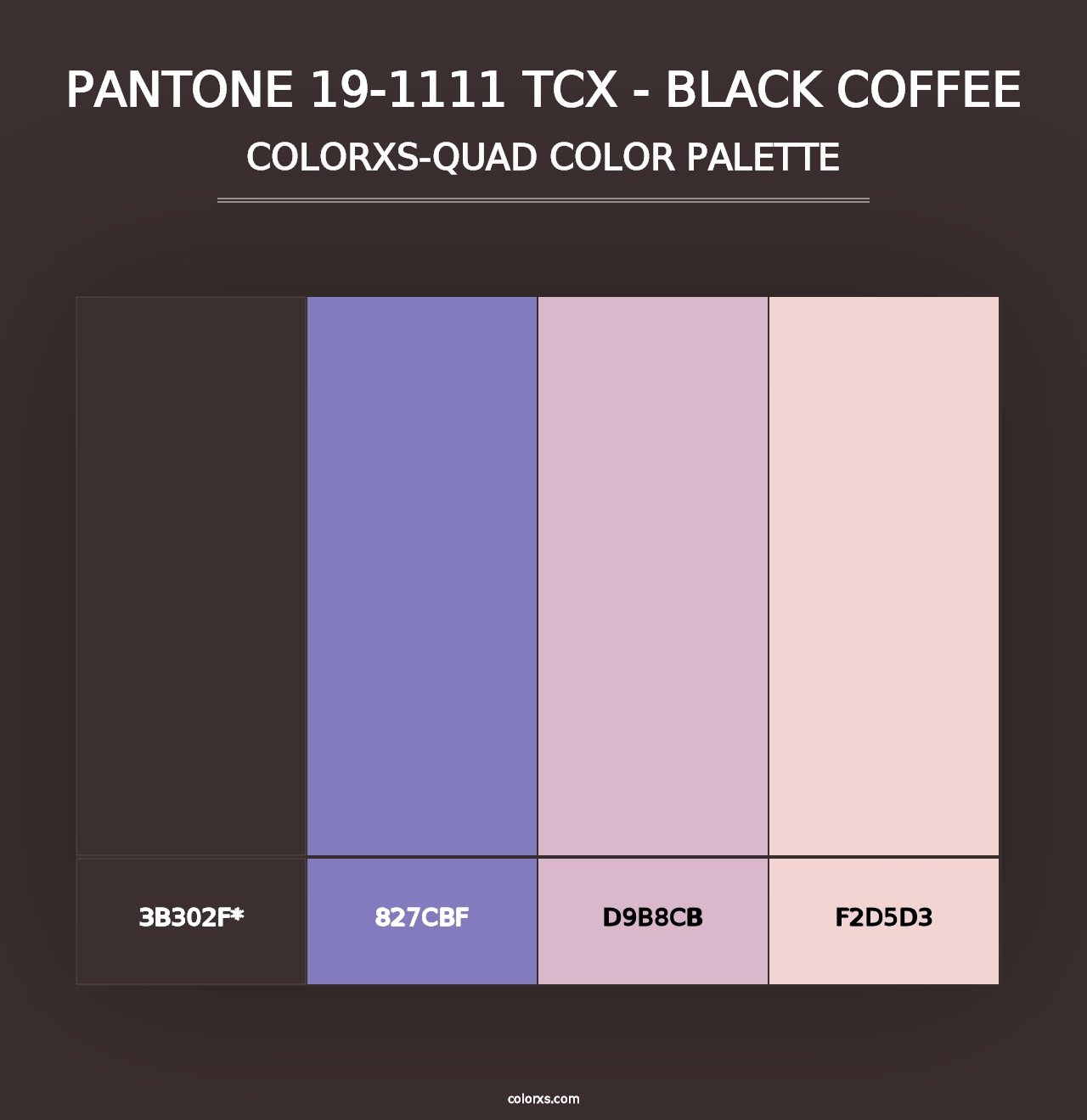 PANTONE 19-1111 TCX - Black Coffee - Colorxs Quad Palette