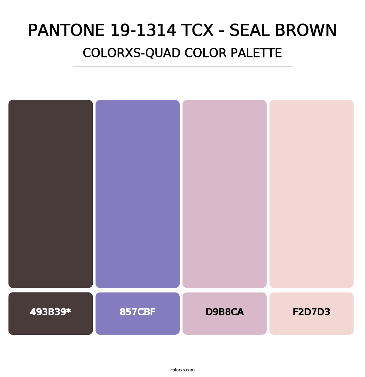 PANTONE 19-1314 TCX - Seal Brown - Colorxs Quad Palette