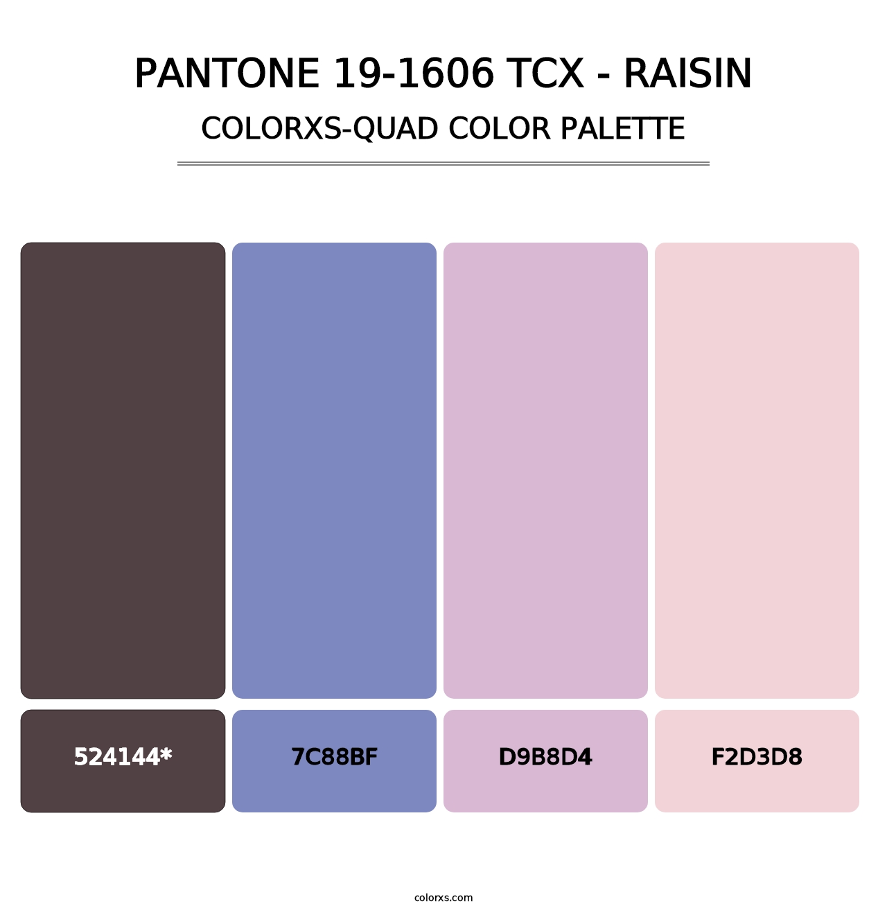 PANTONE 19-1606 TCX - Raisin - Colorxs Quad Palette