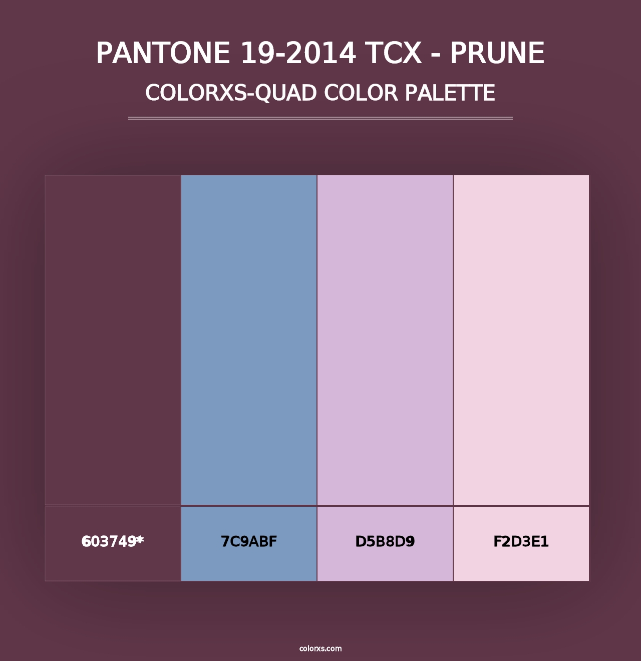 PANTONE 19-2014 TCX - Prune - Colorxs Quad Palette