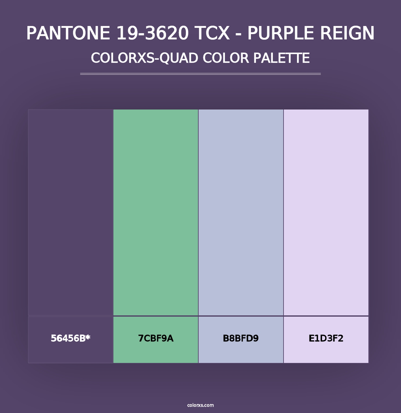 PANTONE 19-3620 TCX - Purple Reign - Colorxs Quad Palette