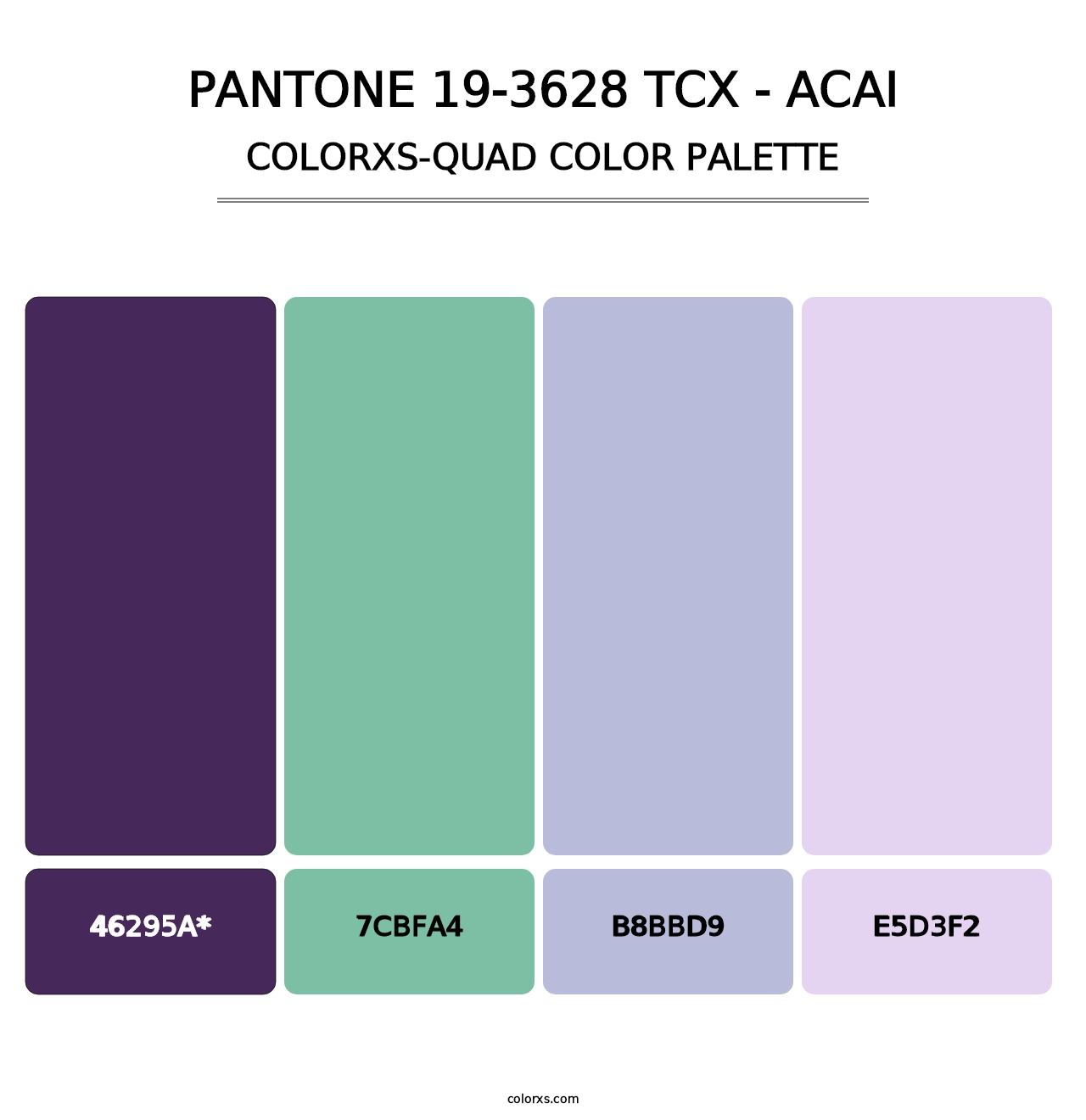 PANTONE 19-3628 TCX - Acai - Colorxs Quad Palette