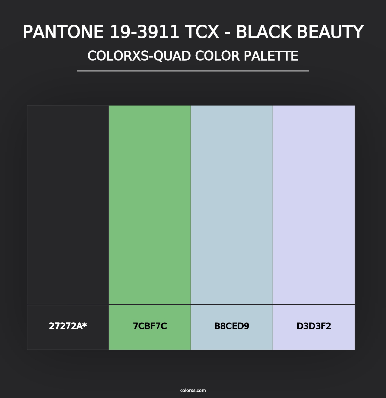 PANTONE 19-3911 TCX - Black Beauty - Colorxs Quad Palette