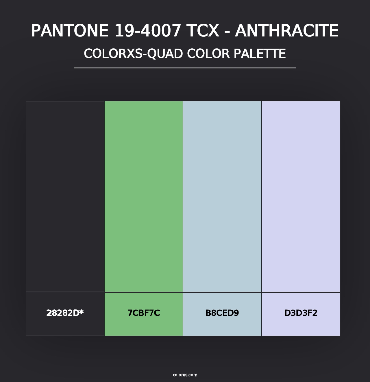 PANTONE 19-4007 TCX - Anthracite - Colorxs Quad Palette