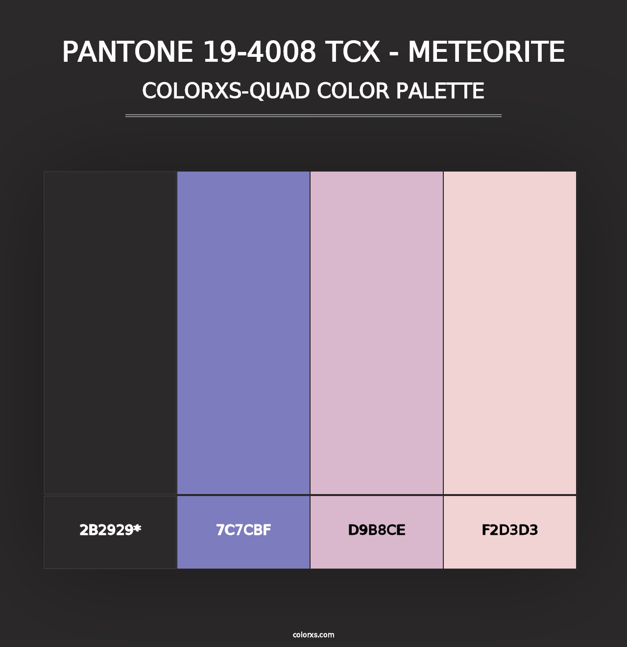 PANTONE 19-4008 TCX - Meteorite - Colorxs Quad Palette