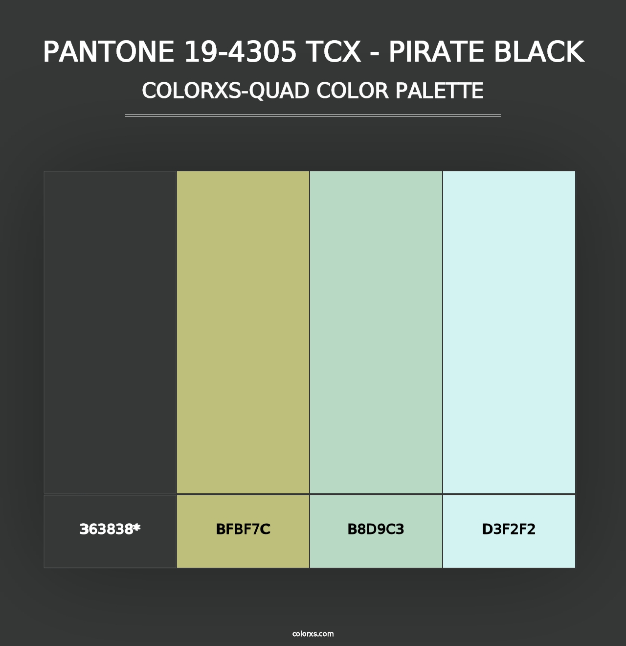 PANTONE 19-4305 TCX - Pirate Black - Colorxs Quad Palette