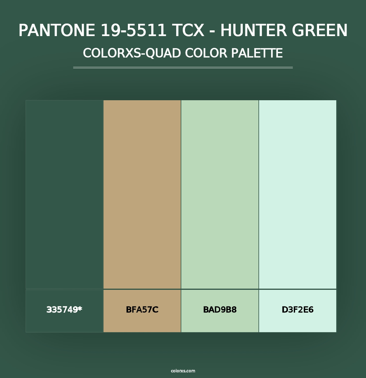 PANTONE 19-5511 TCX - Hunter Green - Colorxs Quad Palette