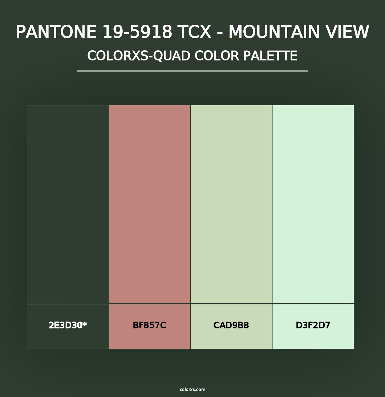 PANTONE 19-5918 TCX - Mountain View - Colorxs Quad Palette