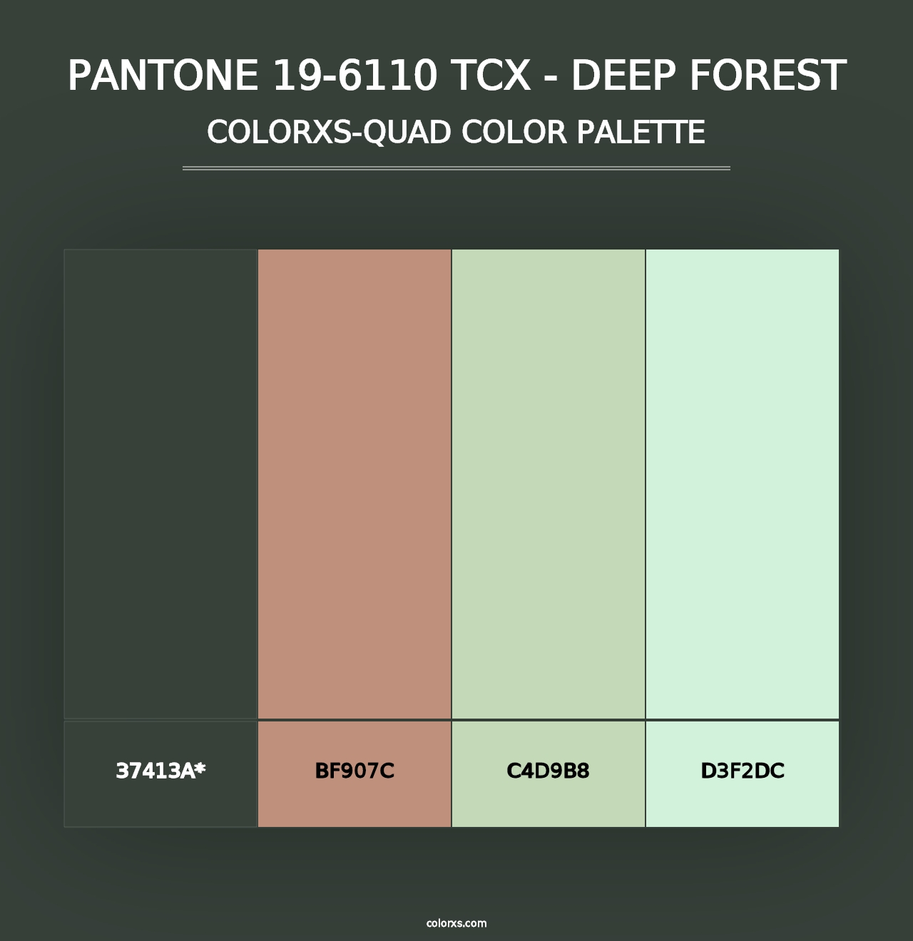 PANTONE 19-6110 TCX - Deep Forest - Colorxs Quad Palette