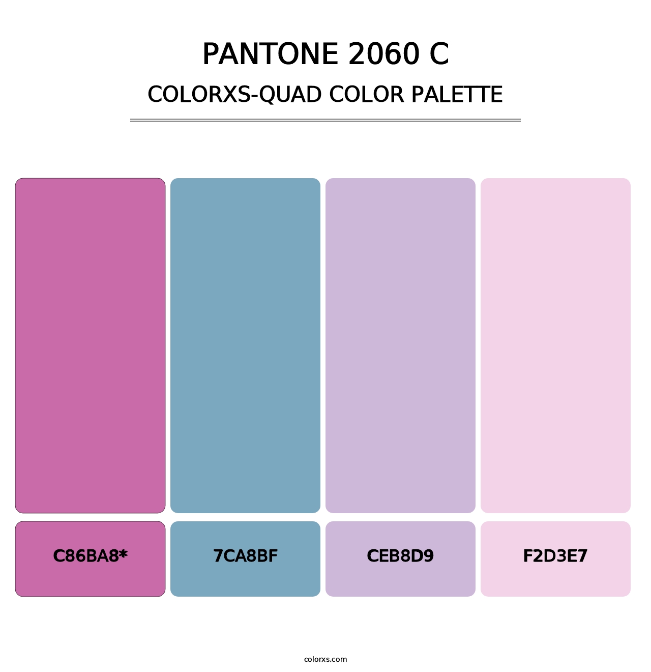 PANTONE 2060 C - Colorxs Quad Palette