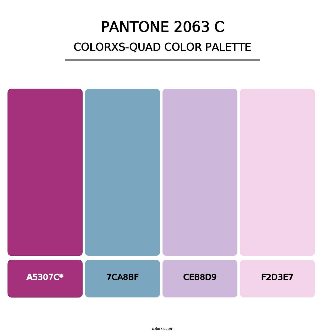 PANTONE 2063 C - Colorxs Quad Palette