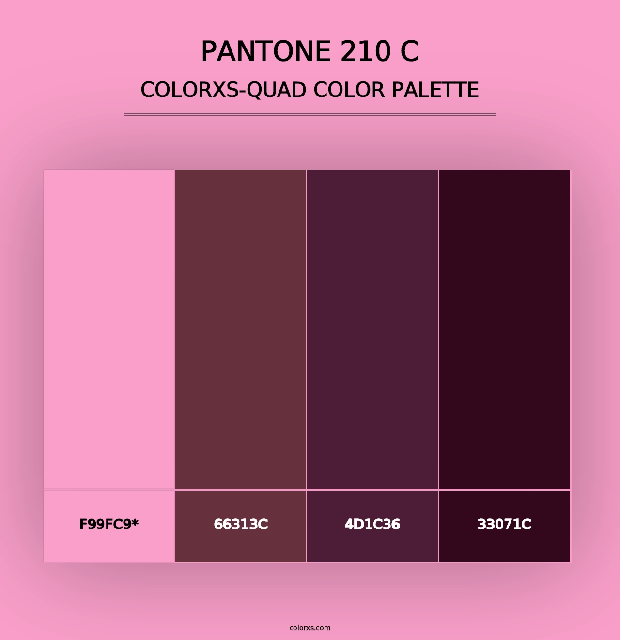 PANTONE 210 C - Colorxs Quad Palette