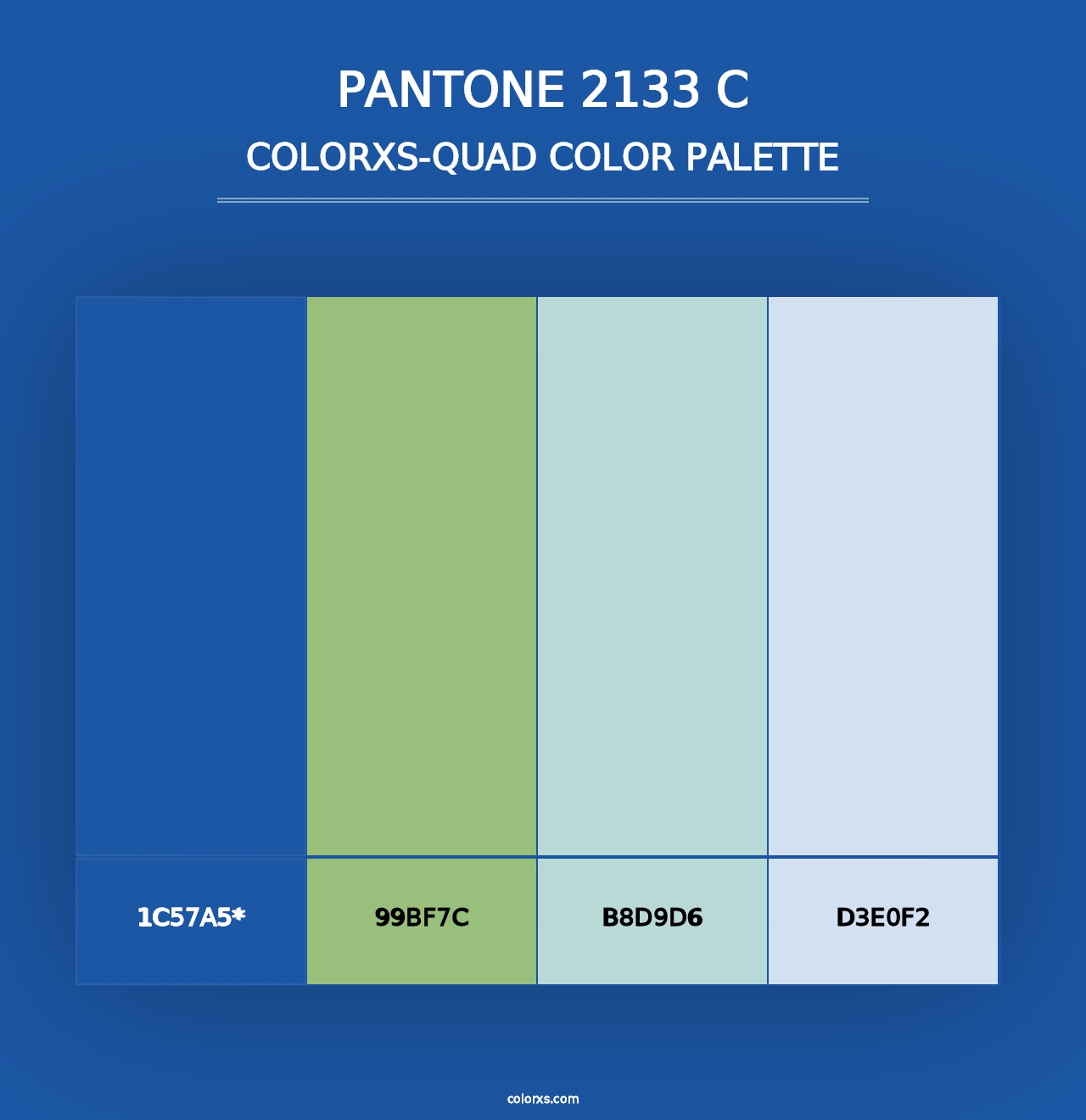 PANTONE 2133 C - Colorxs Quad Palette