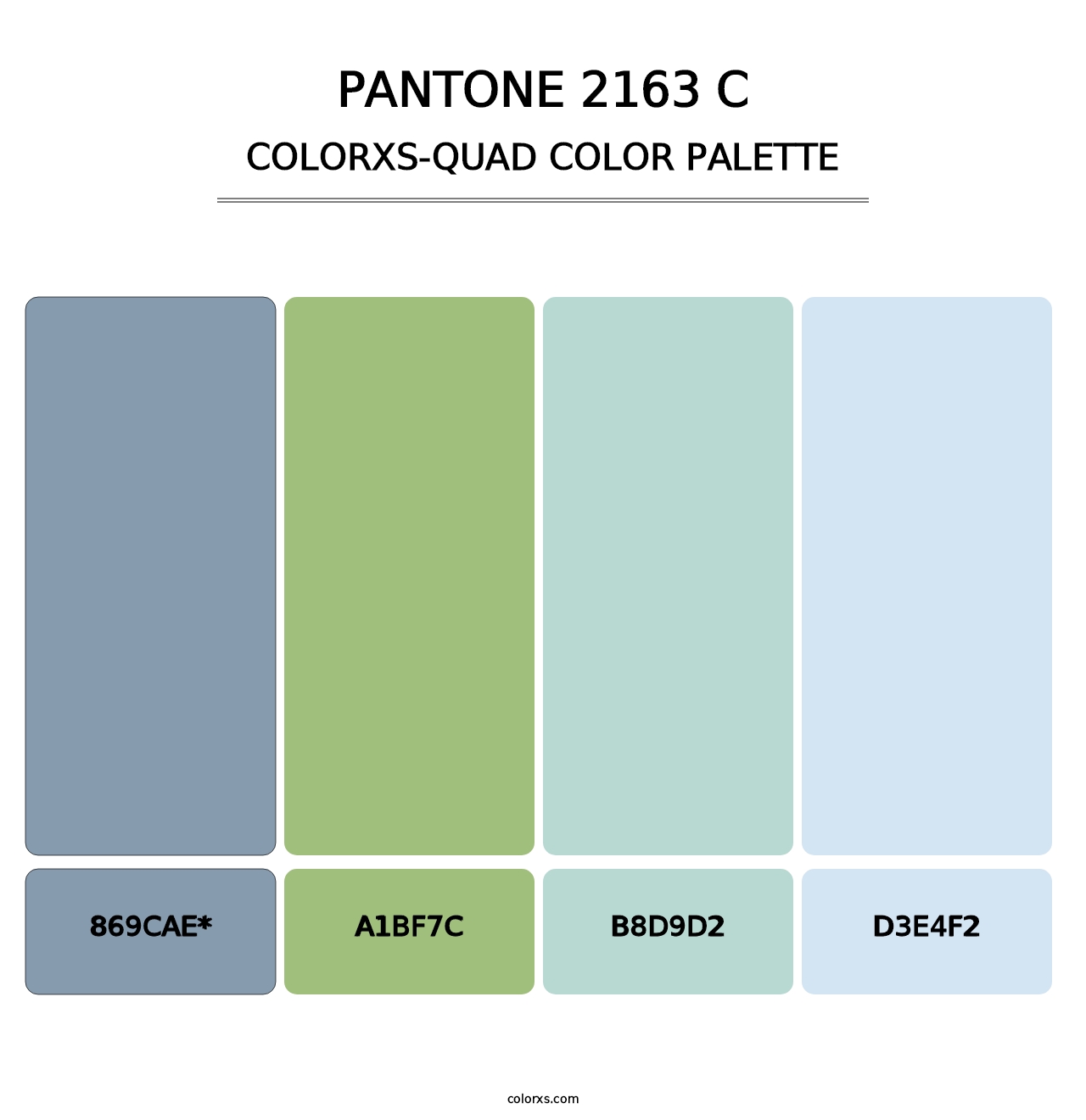 PANTONE 2163 C - Colorxs Quad Palette