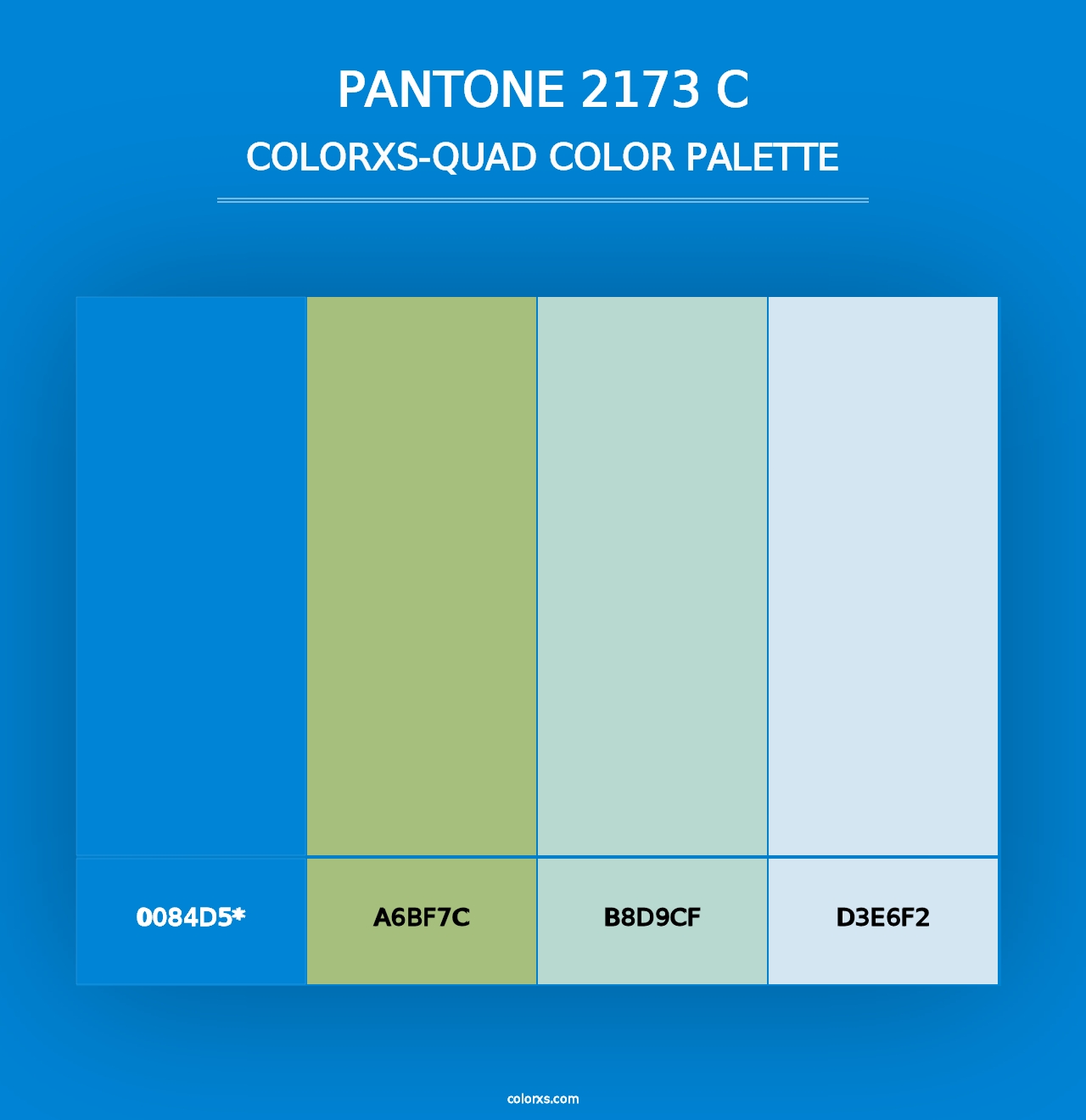 PANTONE 2173 C - Colorxs Quad Palette