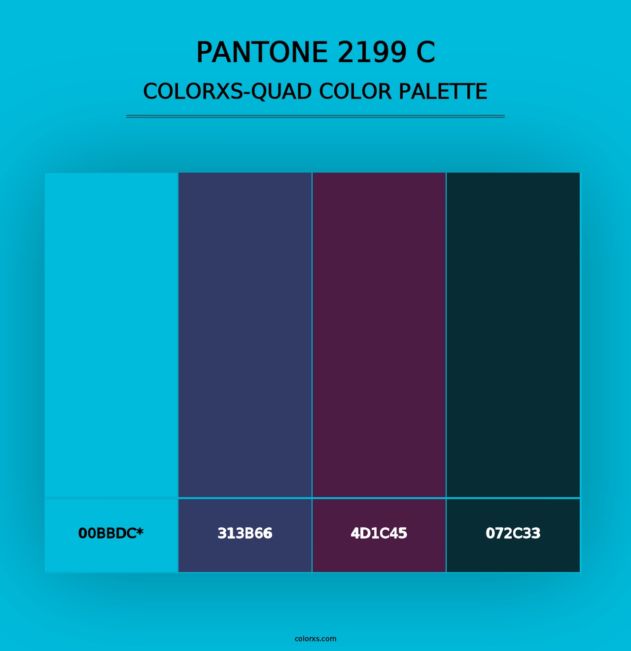 PANTONE 2199 C - Colorxs Quad Palette