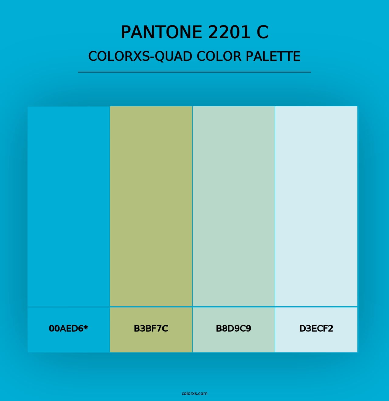 PANTONE 2201 C - Colorxs Quad Palette