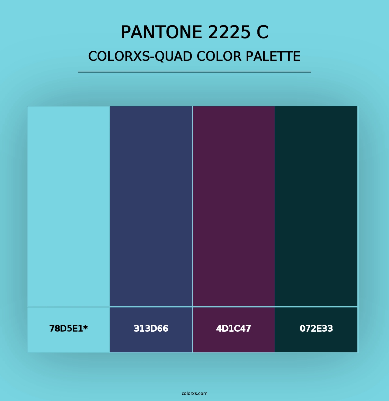 PANTONE 2225 C - Colorxs Quad Palette