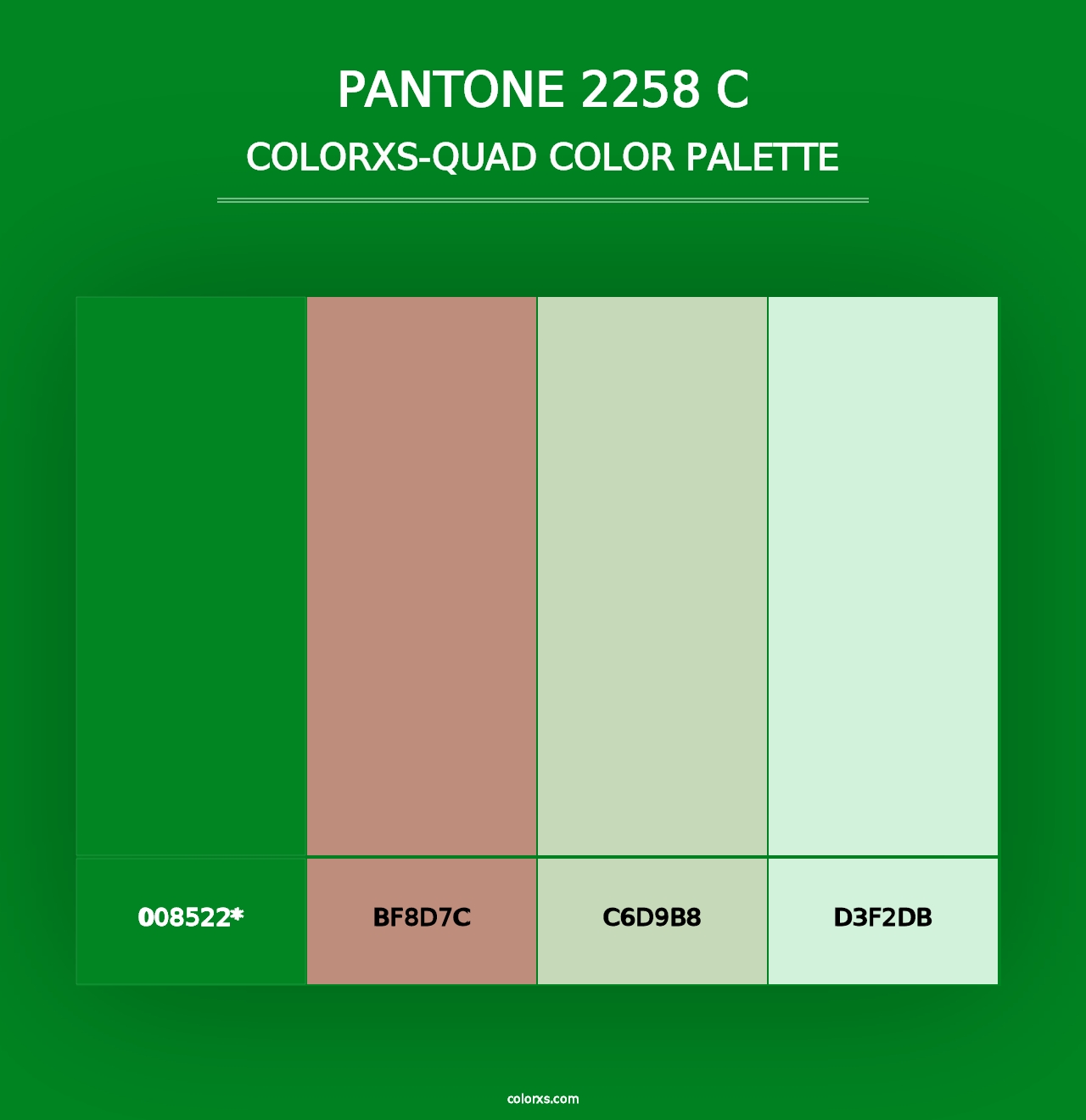 PANTONE 2258 C - Colorxs Quad Palette