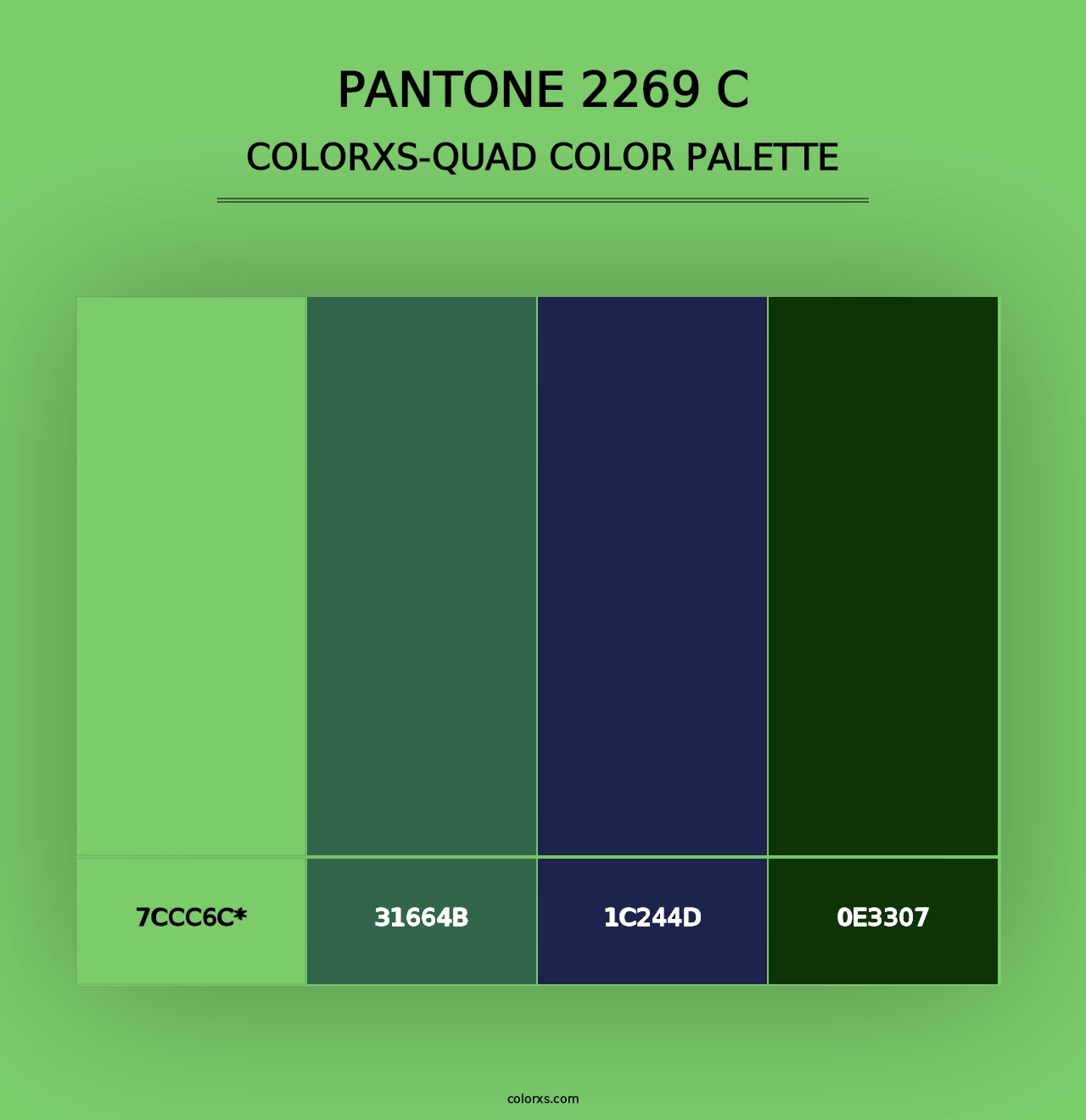 PANTONE 2269 C - Colorxs Quad Palette