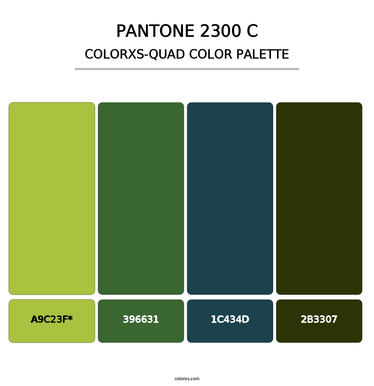 PANTONE 2300 C - Colorxs Quad Palette