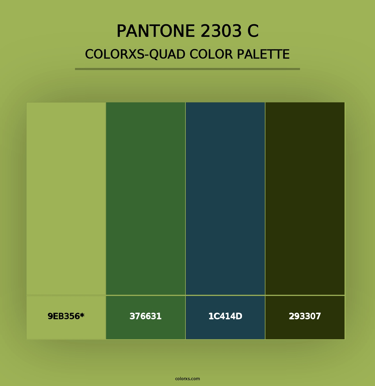 PANTONE 2303 C - Colorxs Quad Palette