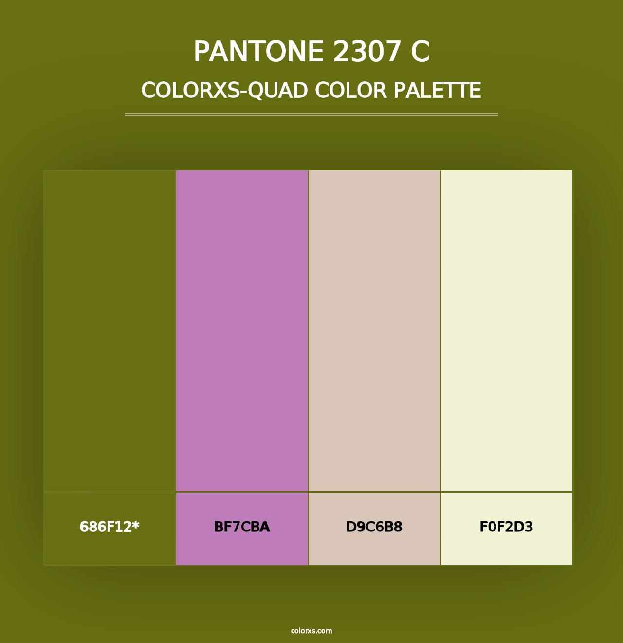 PANTONE 2307 C - Colorxs Quad Palette