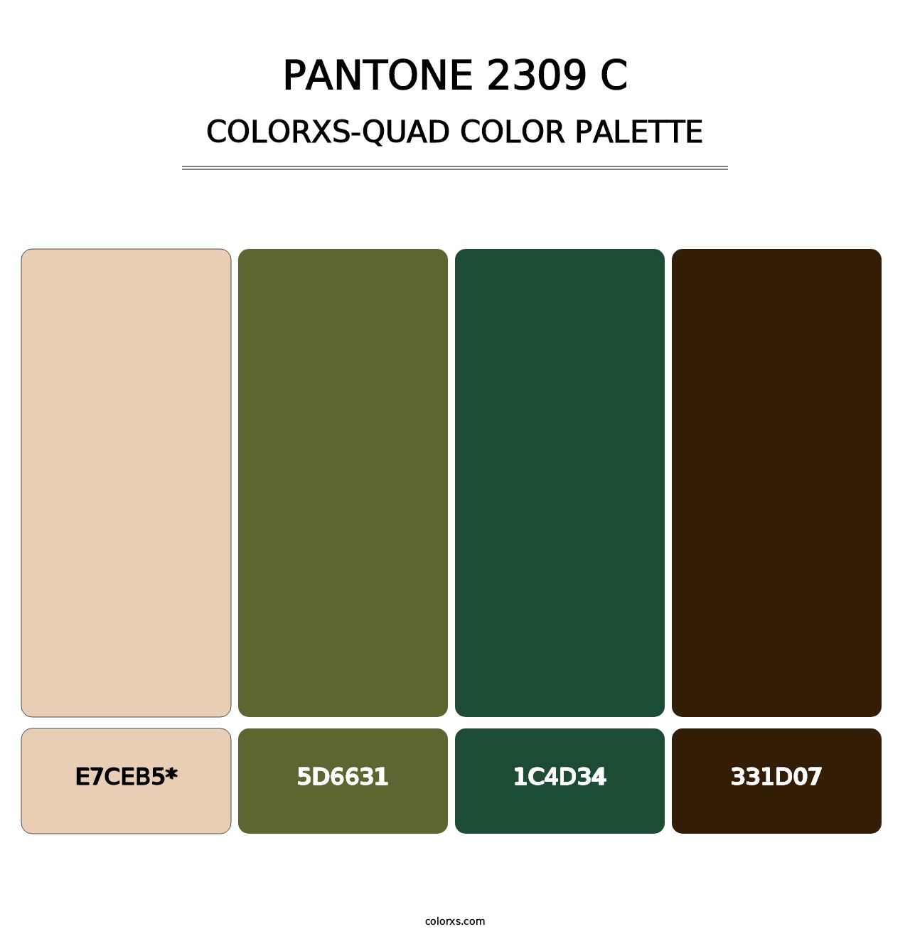 PANTONE 2309 C - Colorxs Quad Palette