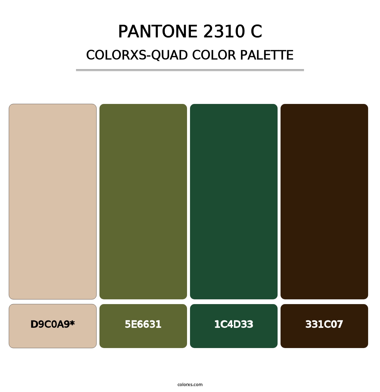 PANTONE 2310 C - Colorxs Quad Palette